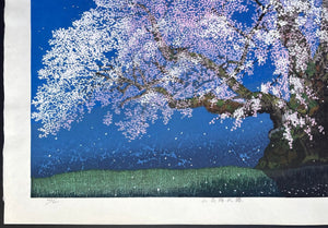  - Yamataka Jindai Zakura (Yamataka Jindai Cherry Blossoms) - Seiji Sano - SAKURA FINE ART
