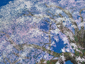  - Yamataka Jindai Zakura (Yamataka Jindai Cherry Blossoms) - Seiji Sano - SAKURA FINE ART