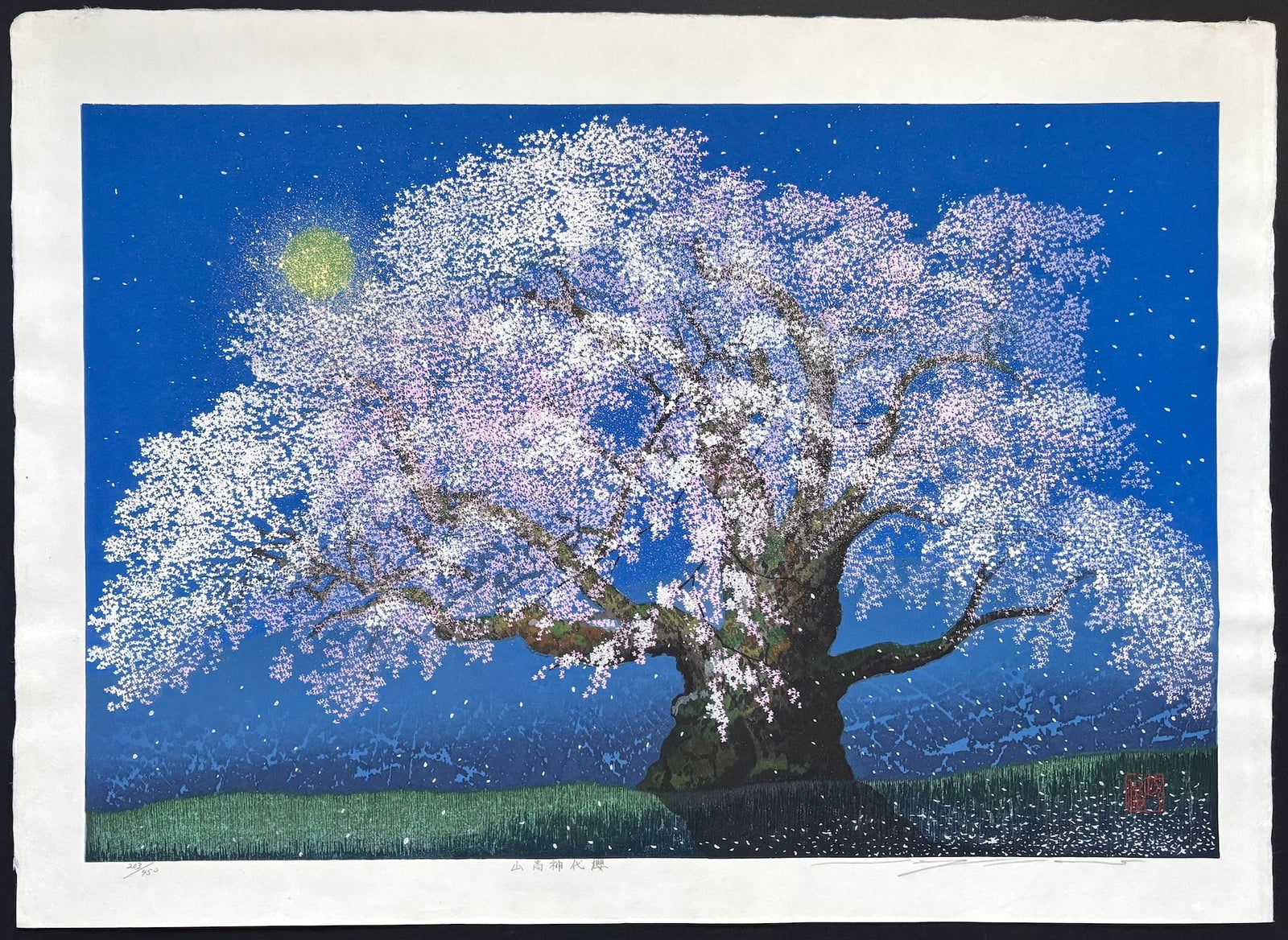  - Yamataka Jindai Zakura (Yamataka Jindai Cherry Blossoms) - Seiji Sano - SAKURA FINE ART