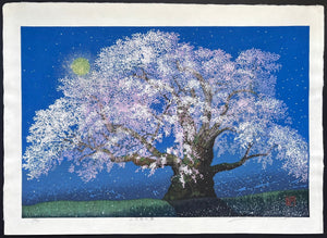  - Yamataka Jindai Zakura (Yamataka Jindai Cherry Blossoms) - Seiji Sano - SAKURA FINE ART