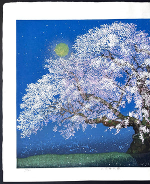  - Yamataka Jindai Zakura (Yamataka Jindai Cherry Blossoms) - Seiji Sano - SAKURA FINE ART