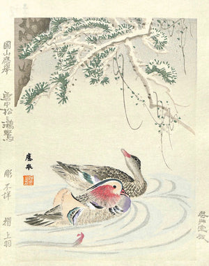 - Secchu matsu ni Oshidori (Snow-covered Pine tree and Mandarin ducks)  -