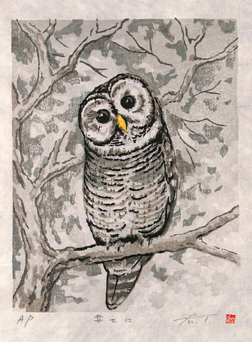 - Shiawaseni (Be Happy - Owl) -