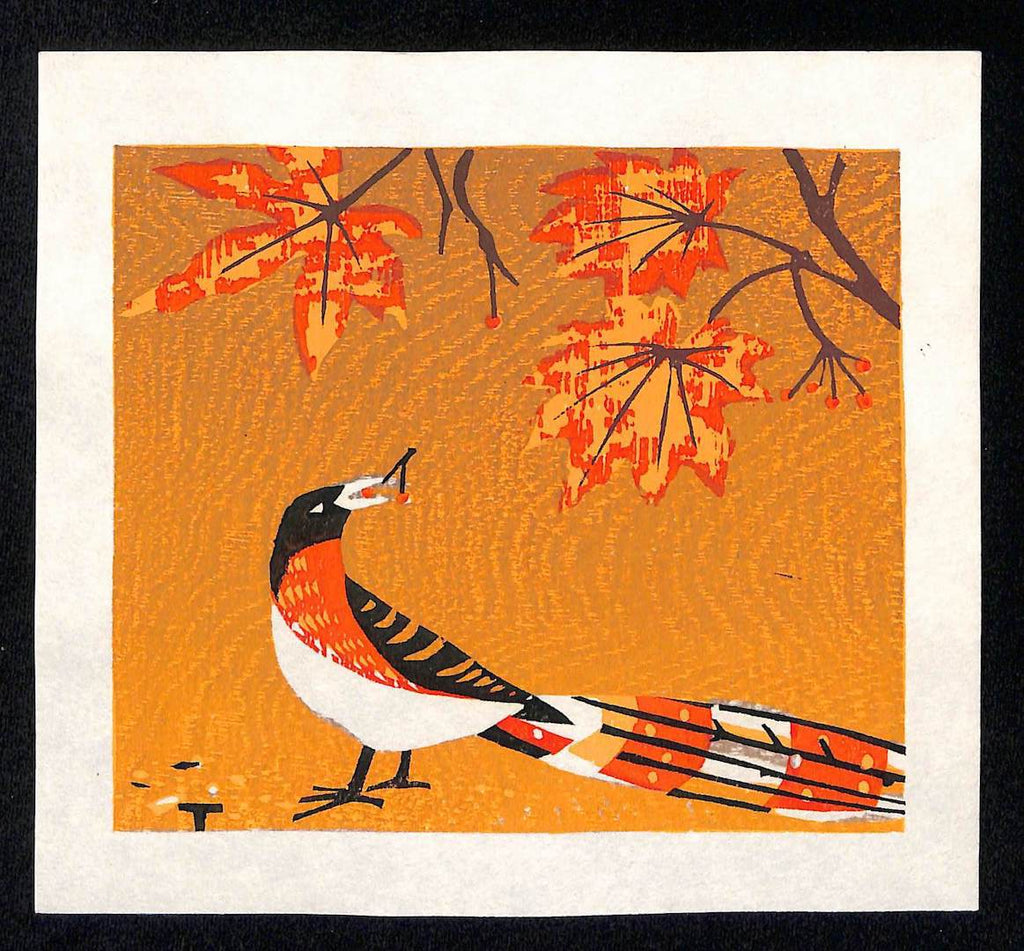 - Bird and Maple Leaves  -