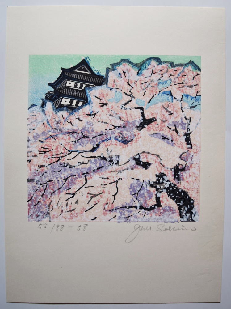 Cherry blossoms - SAKURA FINE ART