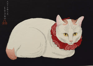 Shironeko  (White Cat) - SAKURA FINE ART