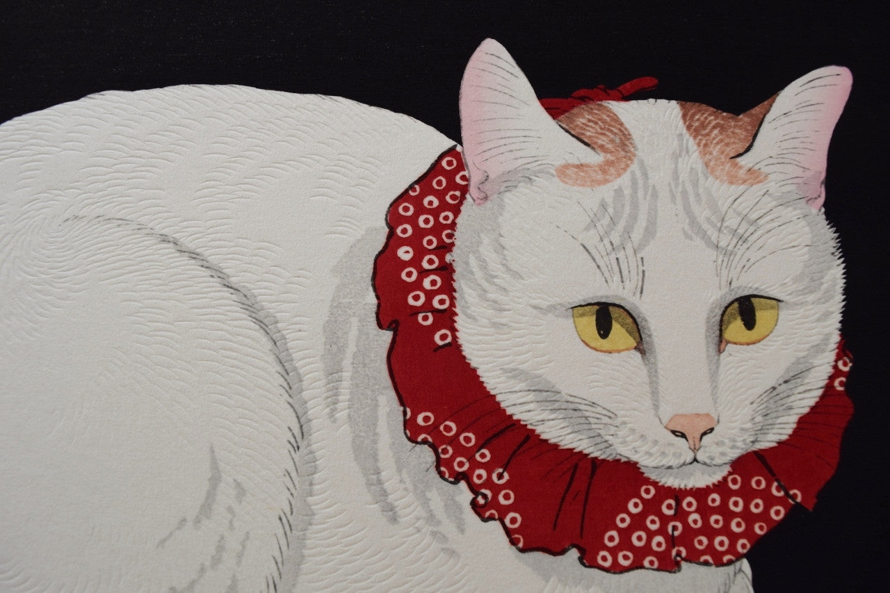 Shironeko  (White Cat) - SAKURA FINE ART