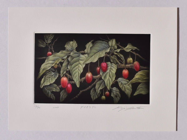 Daio-gumi (Cherry Elaeagnus) - SAKURA FINE ART