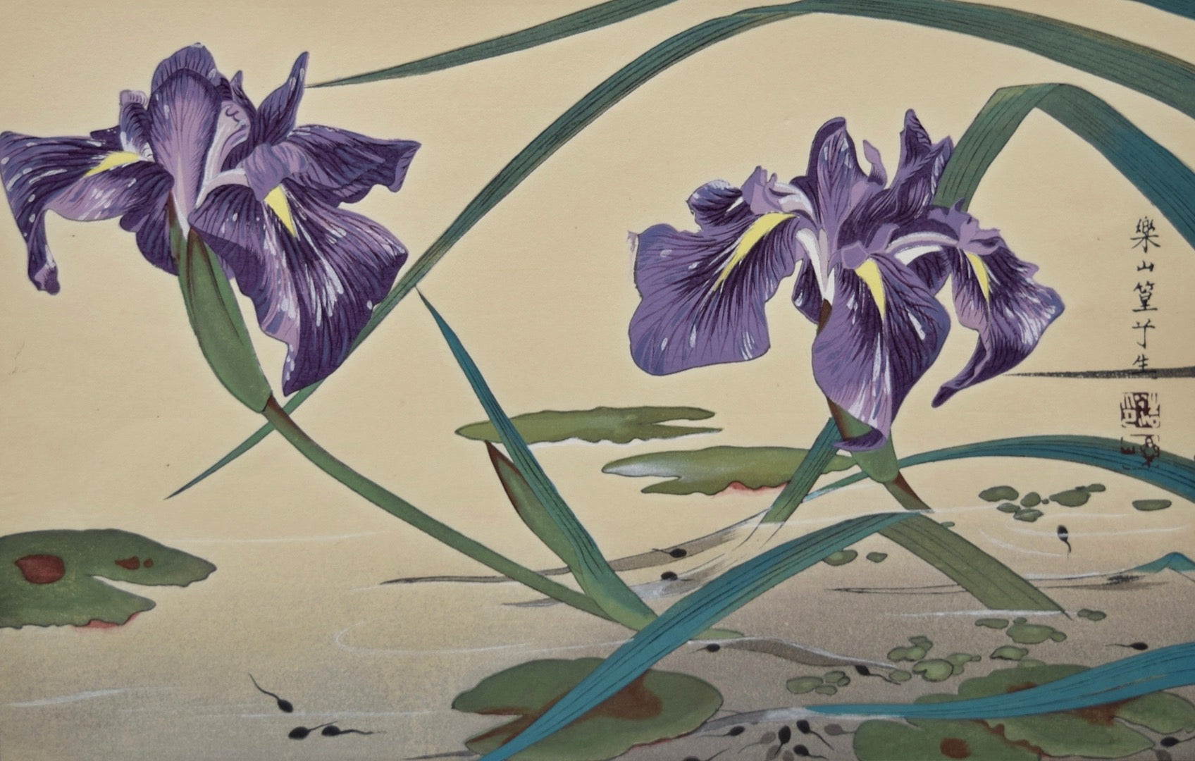 Irises and Tadpoles - SAKURA FINE ART