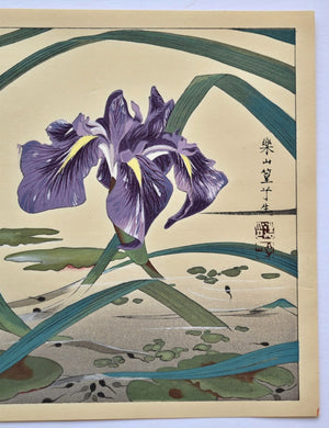 Irises and Tadpoles - SAKURA FINE ART