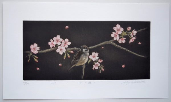 Sakura ni asobu (Sparrow and Cherry Blossoms) - SAKURA FINE ART