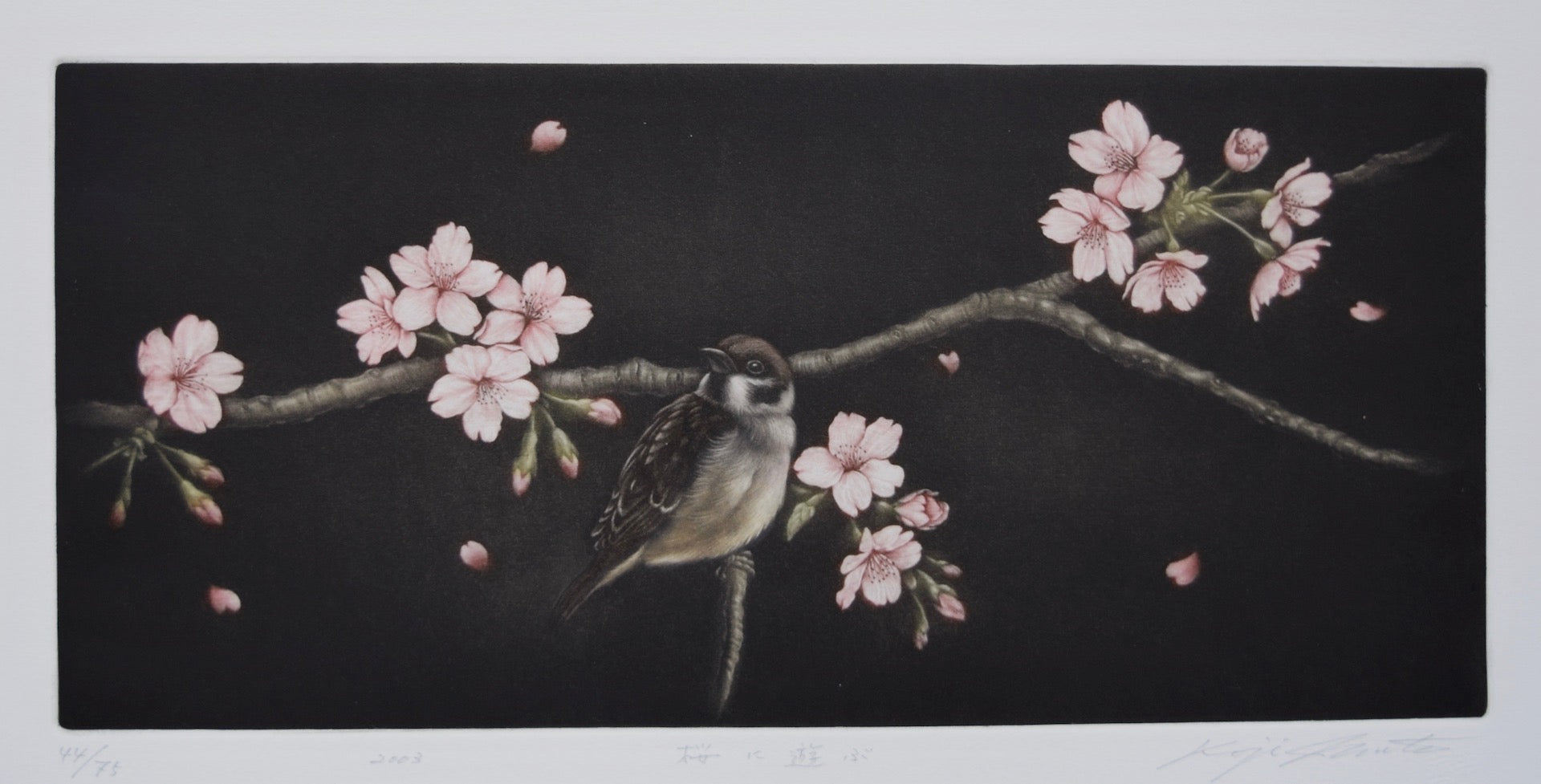 Sakura ni asobu (Sparrow and Cherry Blossoms) - SAKURA FINE ART