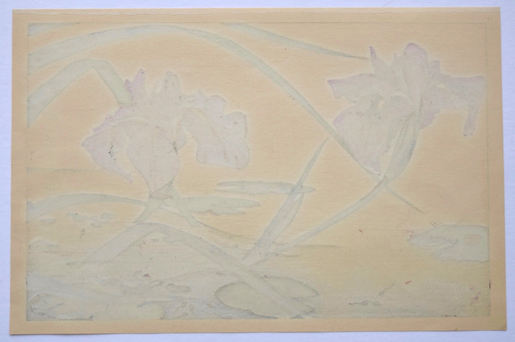 Irises and Tadpoles - SAKURA FINE ART