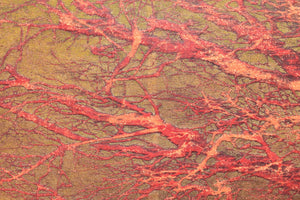 Red branches - SAKURA FINE ART