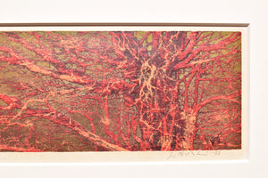 Red branches - SAKURA FINE ART