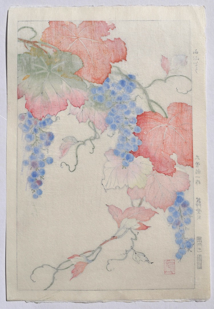 Yama budou  (Wild Vine) - SAKURA FINE ART