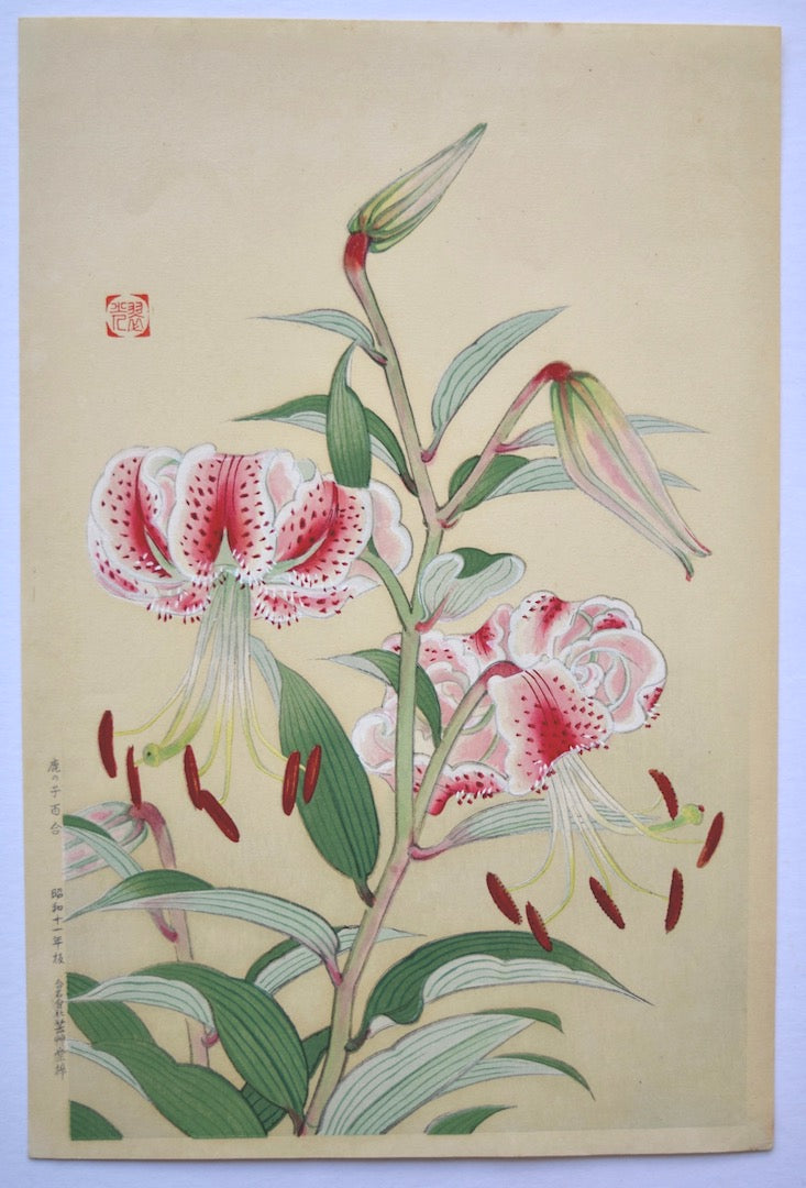 Kanoko yuri (Japanese Lily) - SAKURA FINE ART