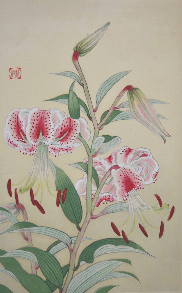 Kanoko yuri (Japanese Lily) - SAKURA FINE ART
