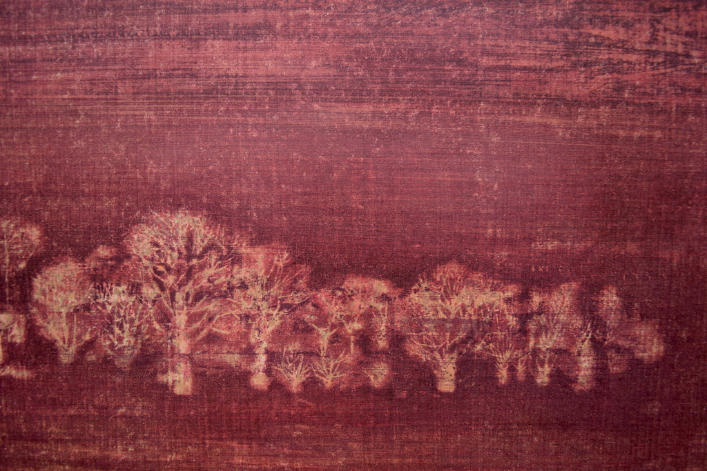 - Akai no (Red Fields), 1972 -