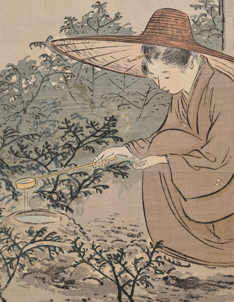 Robiraki (Opening the tea house) - SAKURA FINE ART