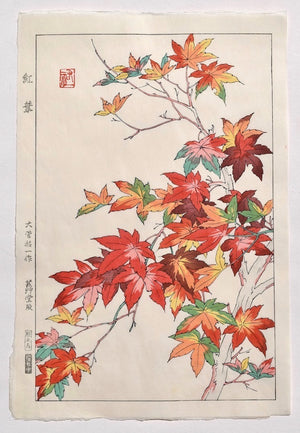 Koyo (Colored Leaves) - SAKURA FINE ART