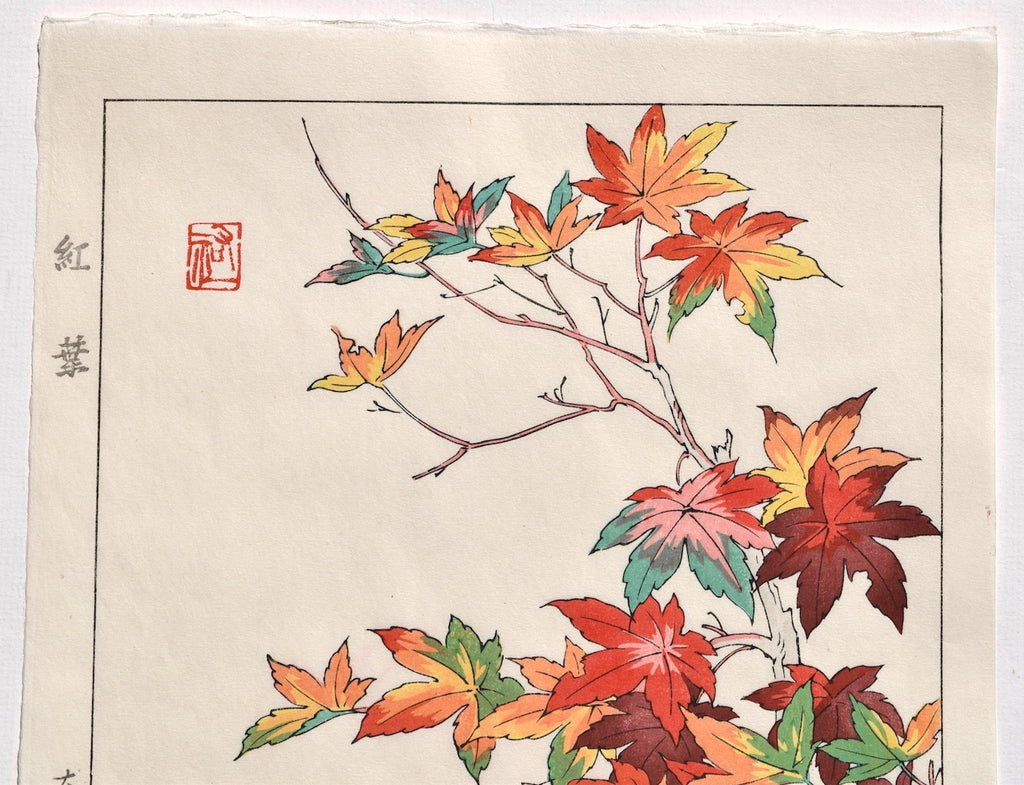 Koyo (Colored Leaves) - SAKURA FINE ART