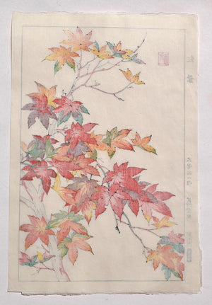 Koyo (Colored Leaves) - SAKURA FINE ART