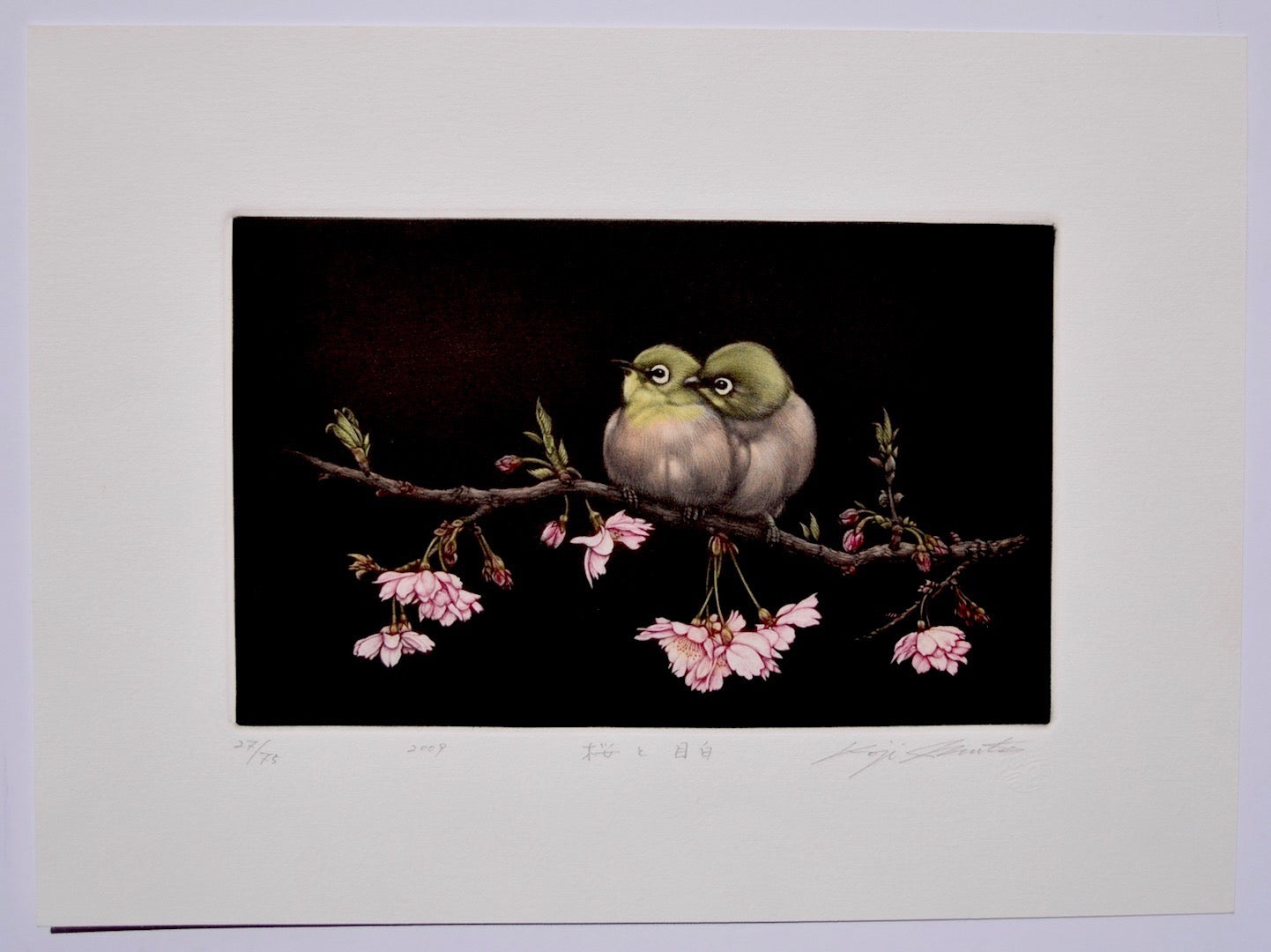 Sakura to Mejito (Japanese - White Eye and Cherry Blossoms) - SAKURA FINE ART