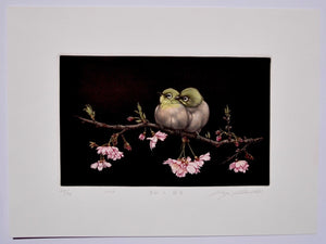 Sakura to Mejito (Japanese - White Eye and Cherry Blossoms) - SAKURA FINE ART