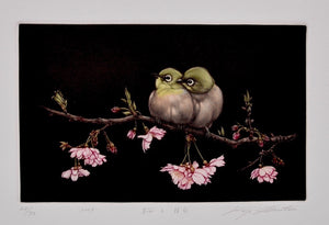 Sakura to Mejito (Japanese - White Eye and Cherry Blossoms) - SAKURA FINE ART