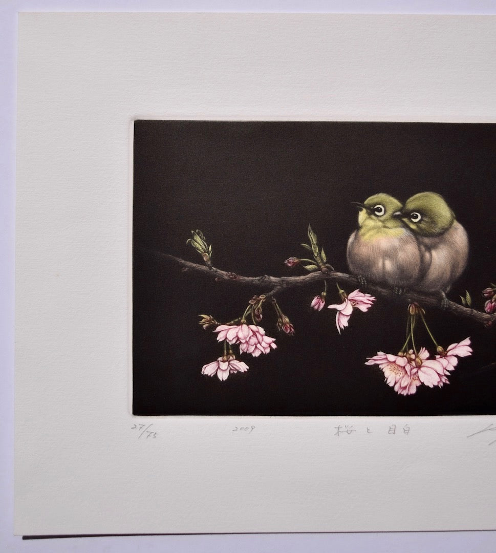 Sakura to Mejito (Japanese - White Eye and Cherry Blossoms) - SAKURA FINE ART