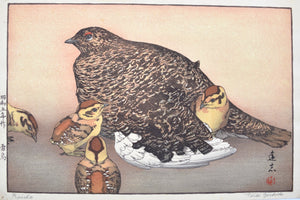 Raicho (Japanese Rock Ptarmigan) - SAKURA FINE ART