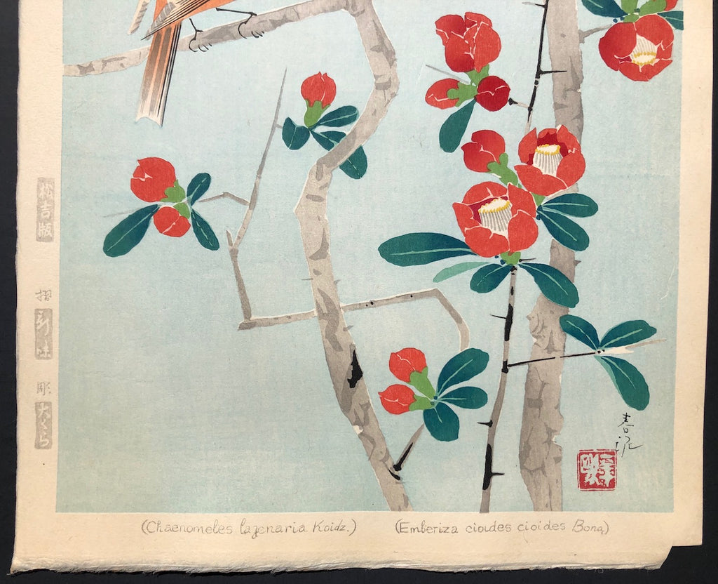 - Boke Hojiro  (Japanese Bunting and Flowering Quince ) -