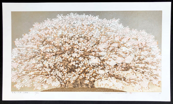 - Yoshitaka no Ohzakura (The 300 Years Old Mountain Cherry Tree, Yoshitaka) -
