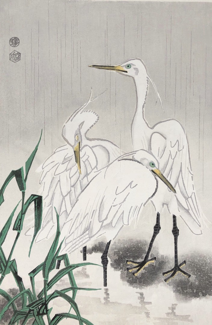 - Shirasagi (White Egrets) -