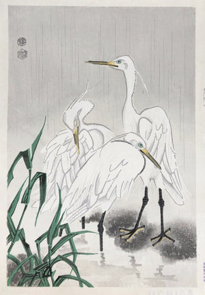 - Shirasagi (White Egrets) -