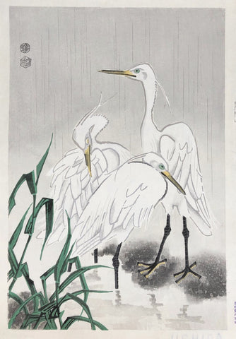 - Shirasagi (White Egrets) -