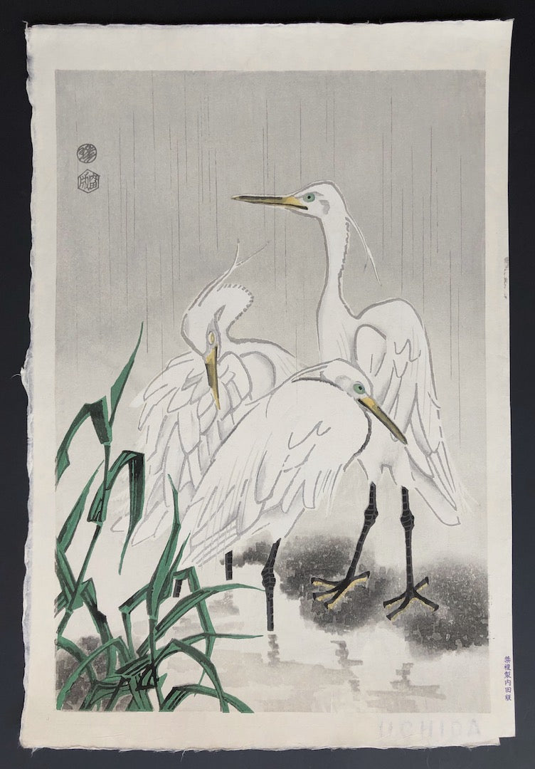 - Shirasagi (White Egrets) -