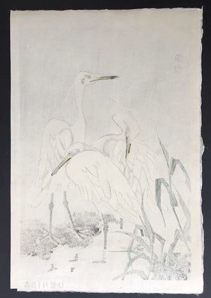 - Shirasagi (White Egrets) -