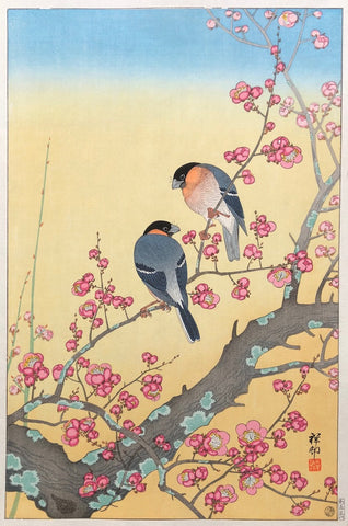 - Baika ni Uso (Bullfinch in the Plum Blossoms)