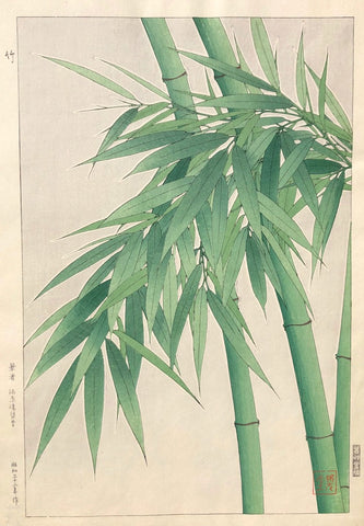 Shodo Kawarazaki (1889 - 1973) - SAKURA FINE ART