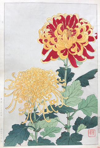 - Kiku (Chrysanthemum) - First edition -