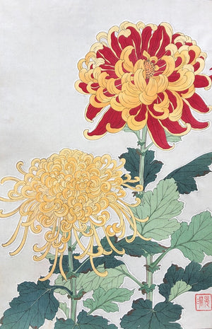 - Kiku (Chrysanthemum) - First edition -