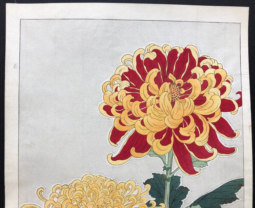 - Kiku (Chrysanthemum) - First edition -