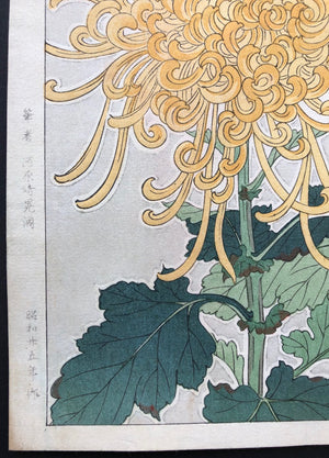 - Kiku (Chrysanthemum) - First edition -