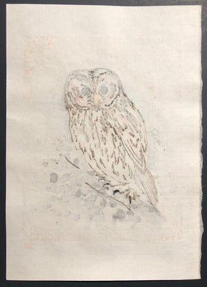 - Shiawase wo (For Happy - Owl ) -