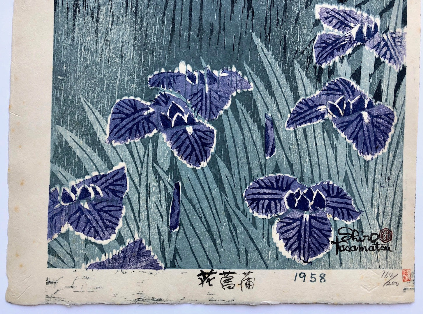 Hanashobu (Iris) - Shiro Kasamatsu - SAKURA FINE ART