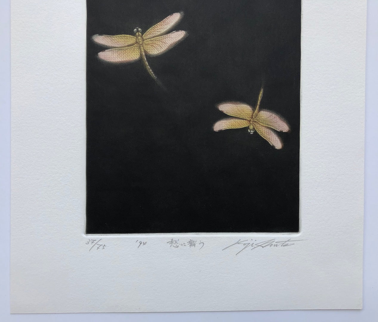 Shu ni mau (Dragonflies in Autumn)