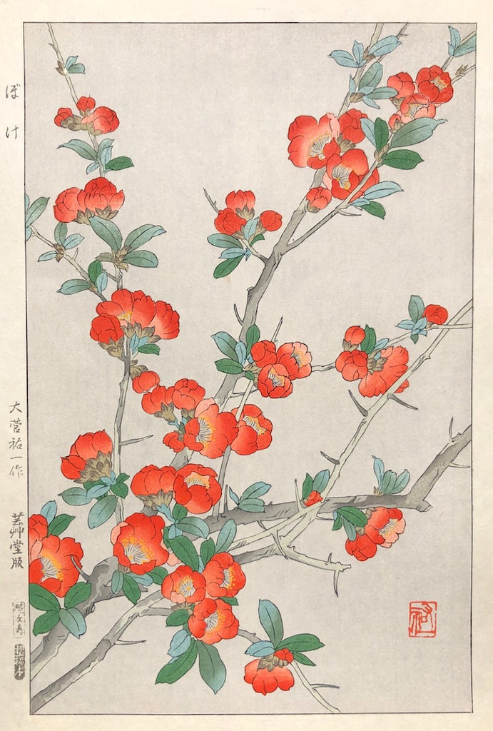- Boke (Japanese Quince) -