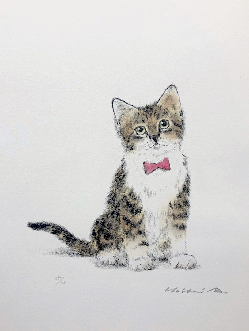 - Kitten In a Red Bow tie -